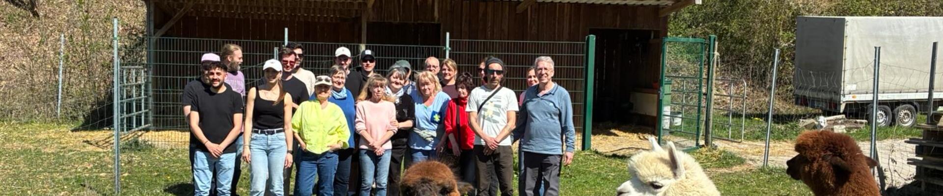 Mitarbeiter mit Alpaka