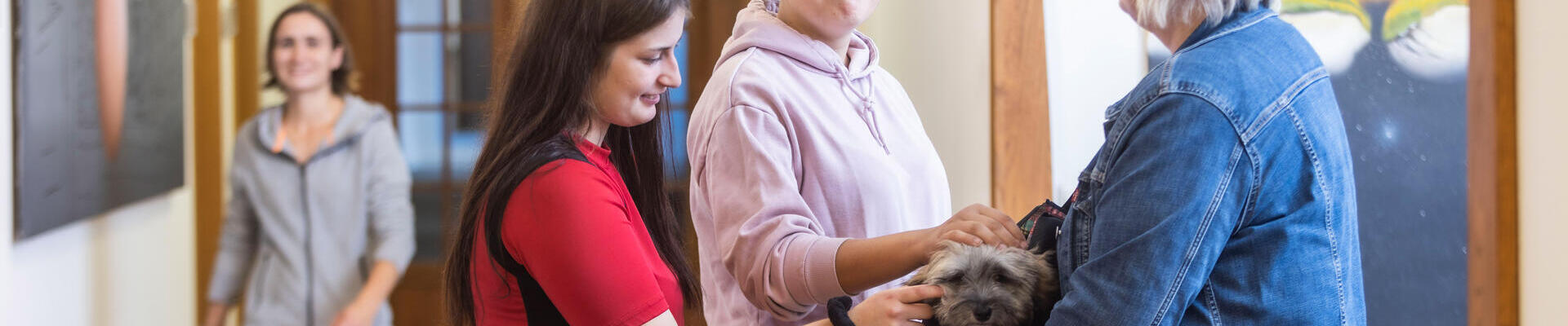 Auf dem Gang mit Hund